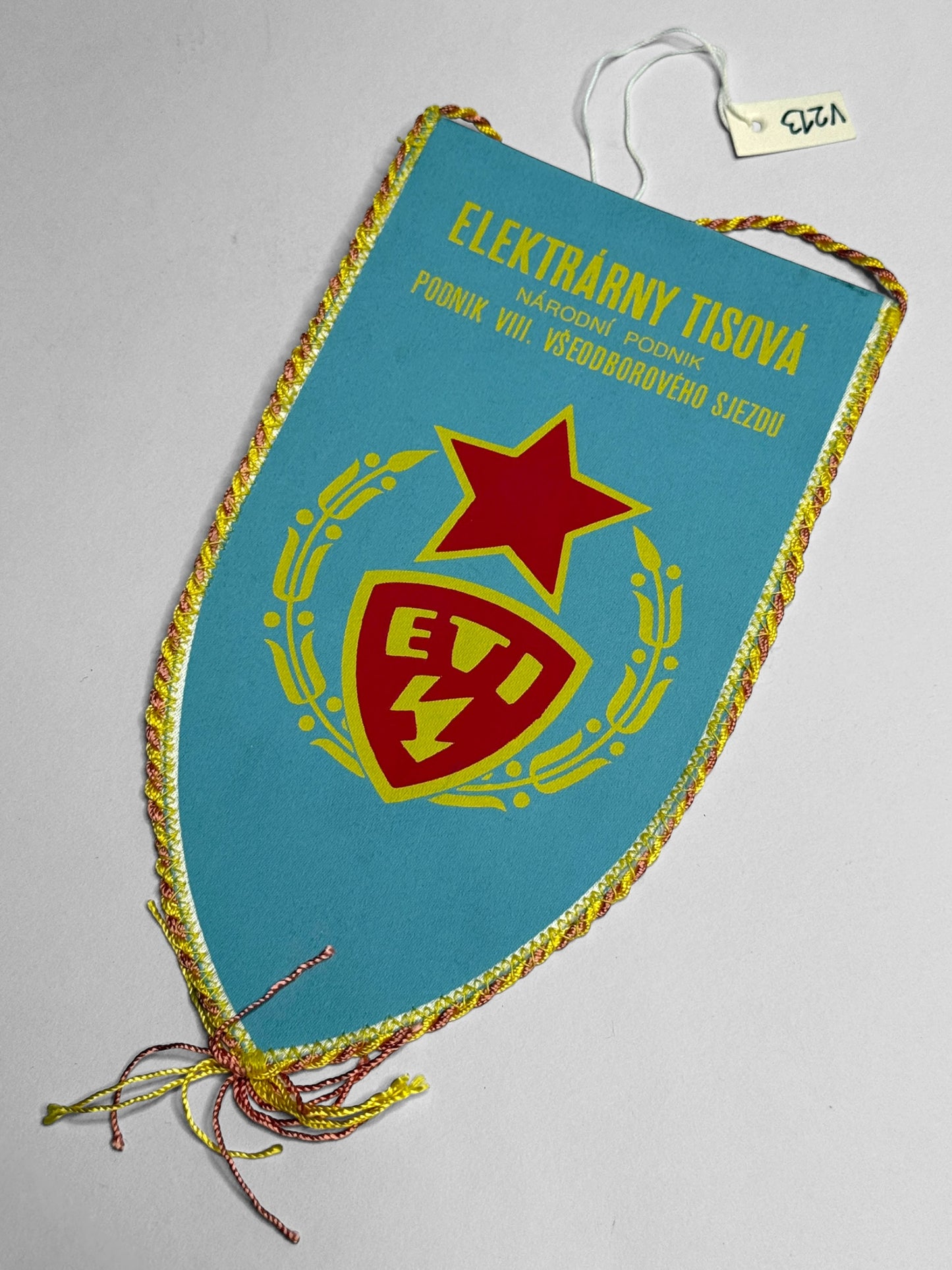 Vlaječka Elektrárny Tisová VIII. Všeodborový sjezd (V213)