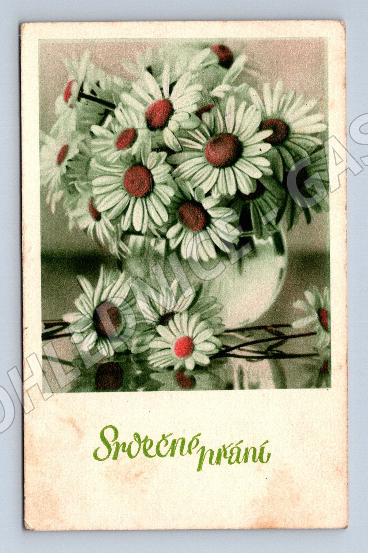 Pohlednice Německo Kytice sedmikrásek Srdečné přání 1942 (BM25243)