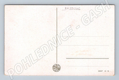 Pohlednice Německo Kopretiny ve váze k svátku (BM25246)