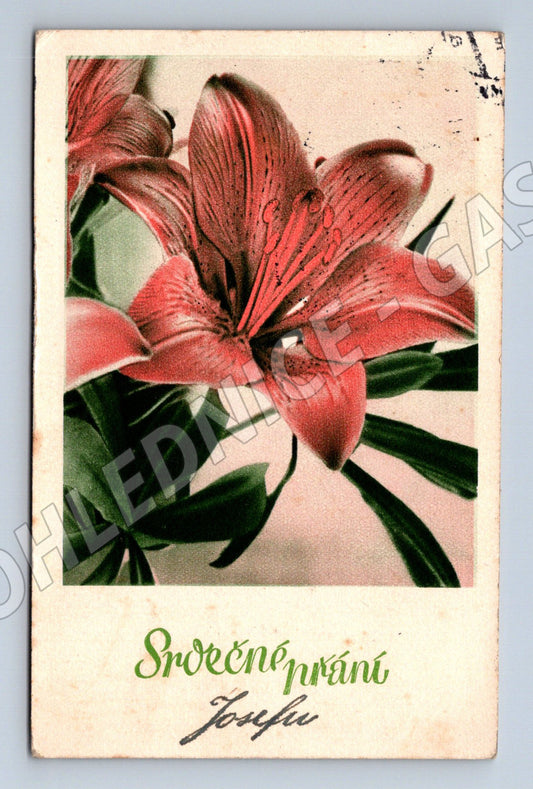 Pohlednice Německo květiny lilie 1941 (BM25250)