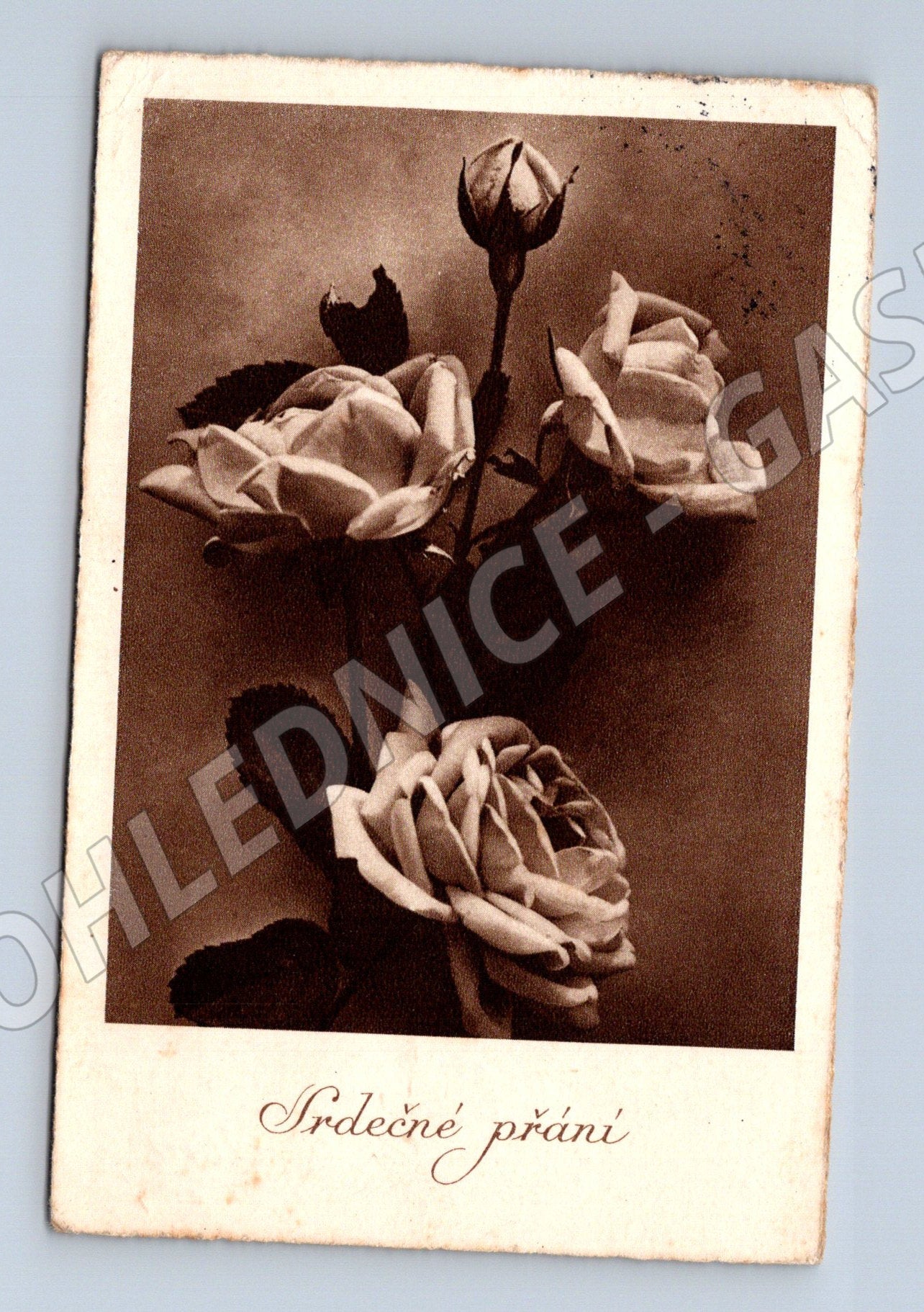 Pohlednice Srdečné přání růže 1941 (BM25251)