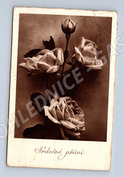 Pohlednice Srdečné přání růže 1941 (BM25251)