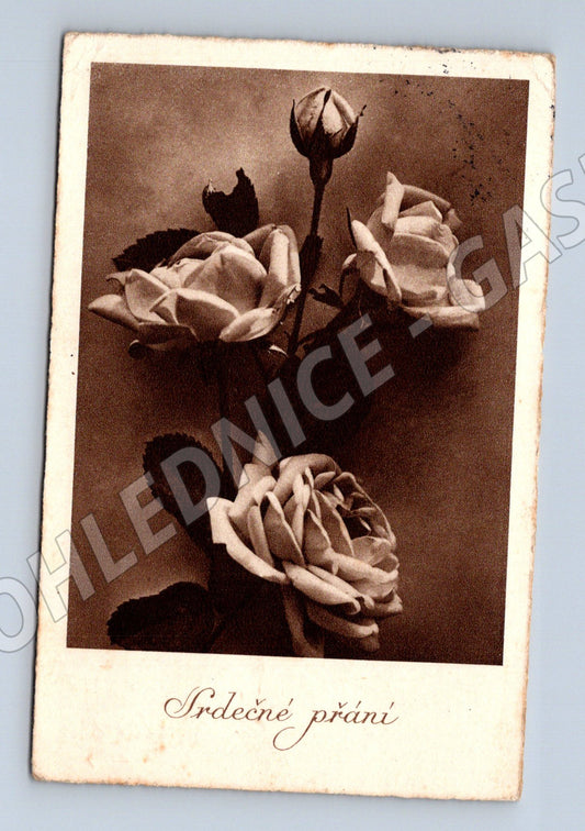 Pohlednice Srdečné přání růže 1941 (BM25251)