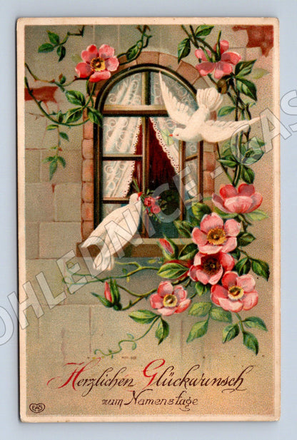 Pohlednice Rakousko holubi růže okno 1905 (BM25264)