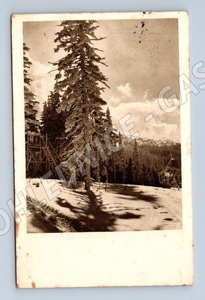 Pohlednice Německo zimní krajina 1930s (BM25266)