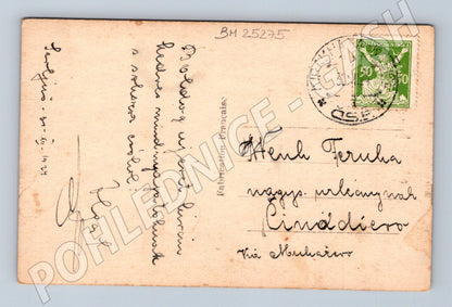 Pohlednice Novoroční zimní krajina 1924 (BM25275)