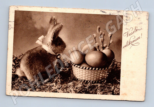Pohlednice Německo Velikonoční zajíc a vejce 1925 (BM25279)