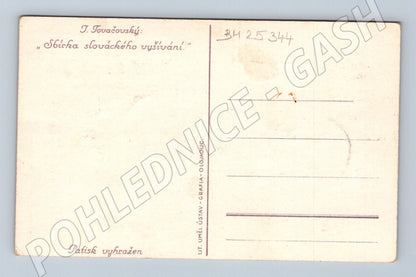 Pohlednice Slovensko folklór slovácké vyšívání Brezová (BM25344)