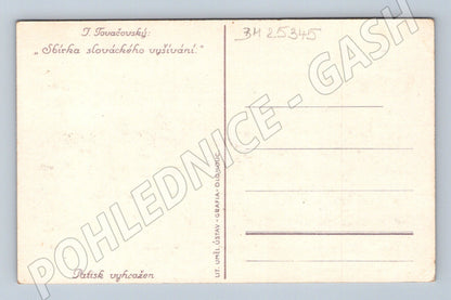 Pohlednice Březová slovácké vyšívání (BM25345)
