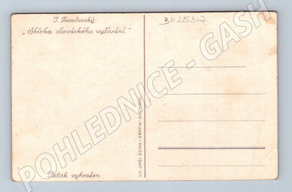 Pohlednice Slovácké vyšívání Březová (BM25347)