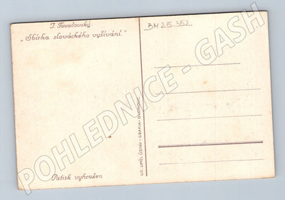Pohlednice Slovensko folklorní výšivka Březová (BM25352)