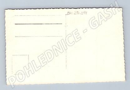 Pohlednice Generální inspektor vládního vojska nacisti pohřeb(BM25391)