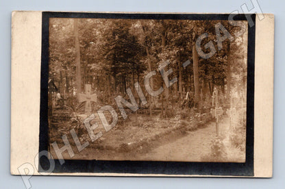 Pohlednice I. sv. válka hřbitov v lese (BM25392)