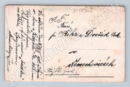 Pohlednice lovné ptactvo divočina (BM25406)