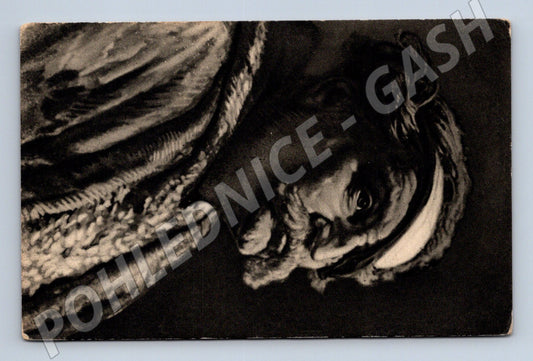 Stará fotografie mužský portrét dramatické osvětlení (BM25431)