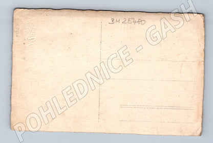 Pohlednice děvče s kohoutem (BM25480)