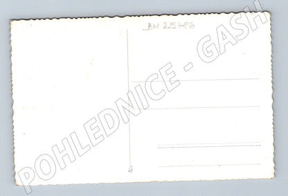 Pohlednice miniatura zahrada mostky (BM25486)