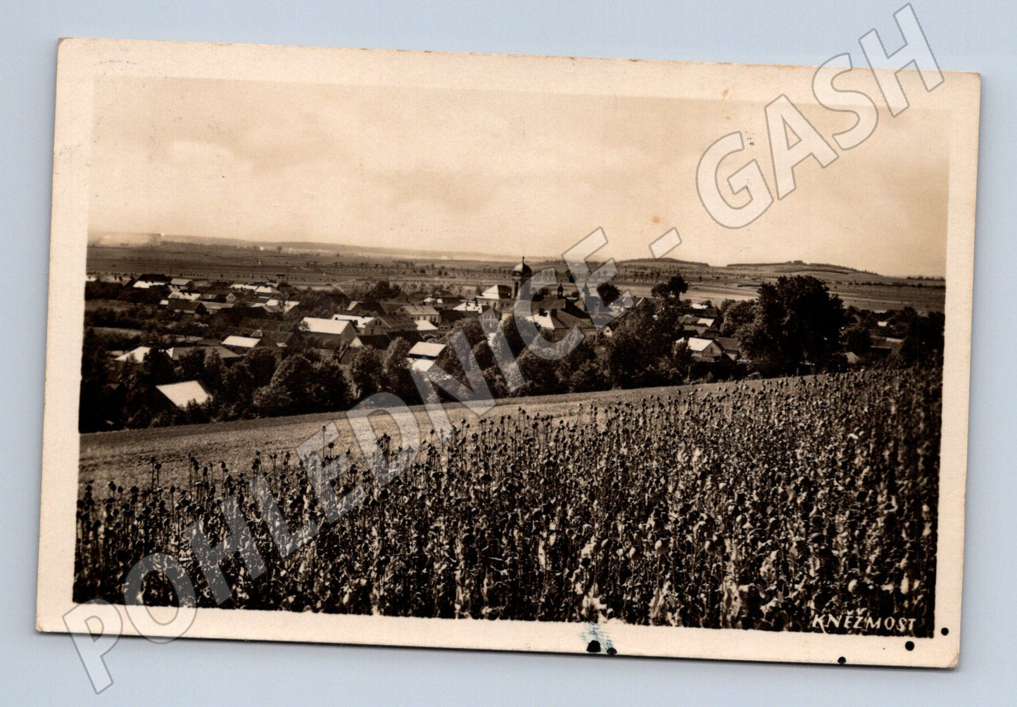 Pohlednice Kněžmost pohled na obec 1942 (BM25539)