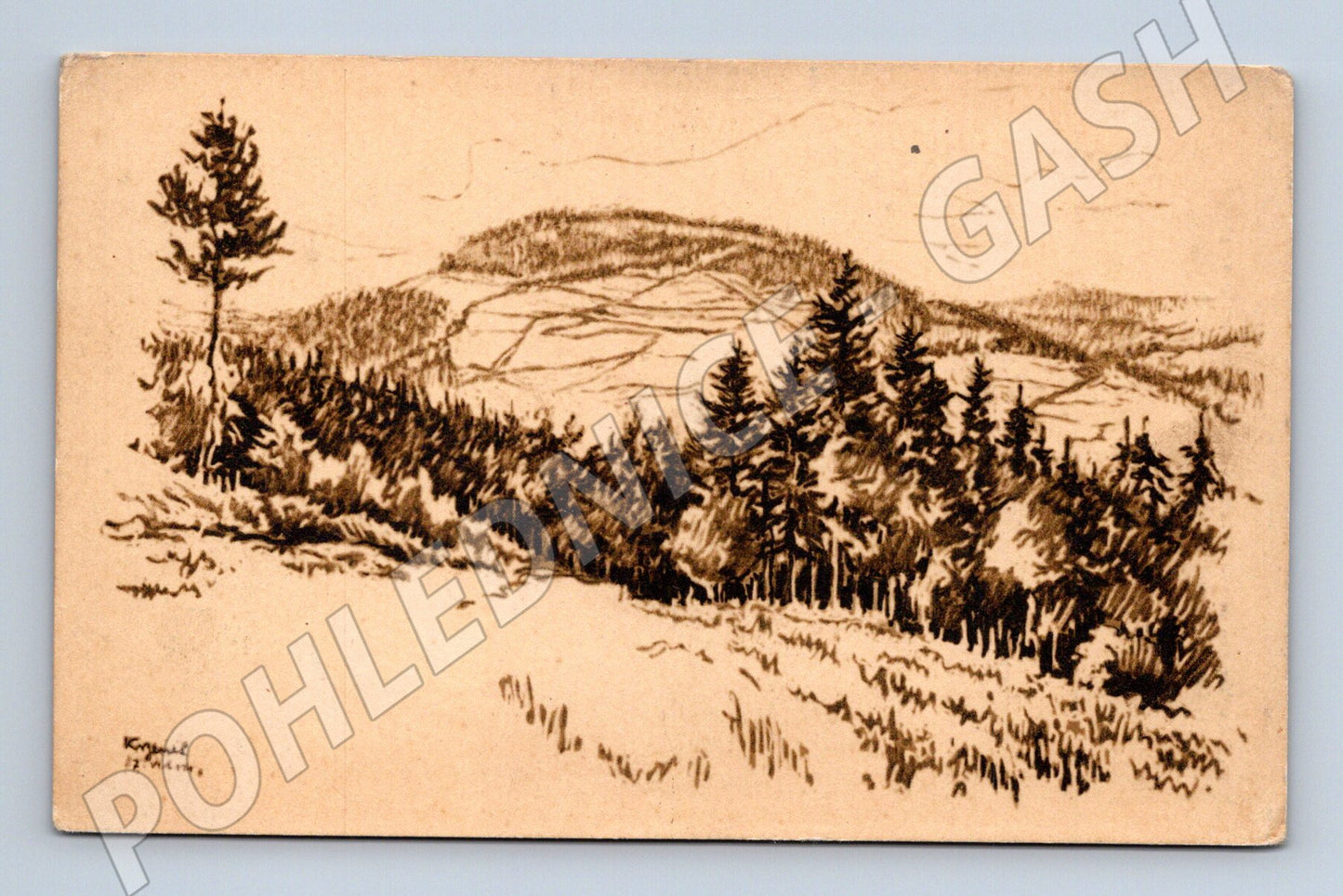 Pohlednice Hronov - Turov a Jírovy hory 1921 (BM25549)