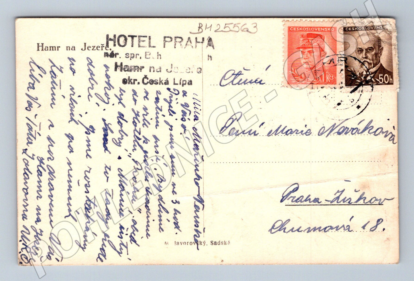 Pohlednice Hamr na Jezeře jezero a Hotel Praha (BM25563)
