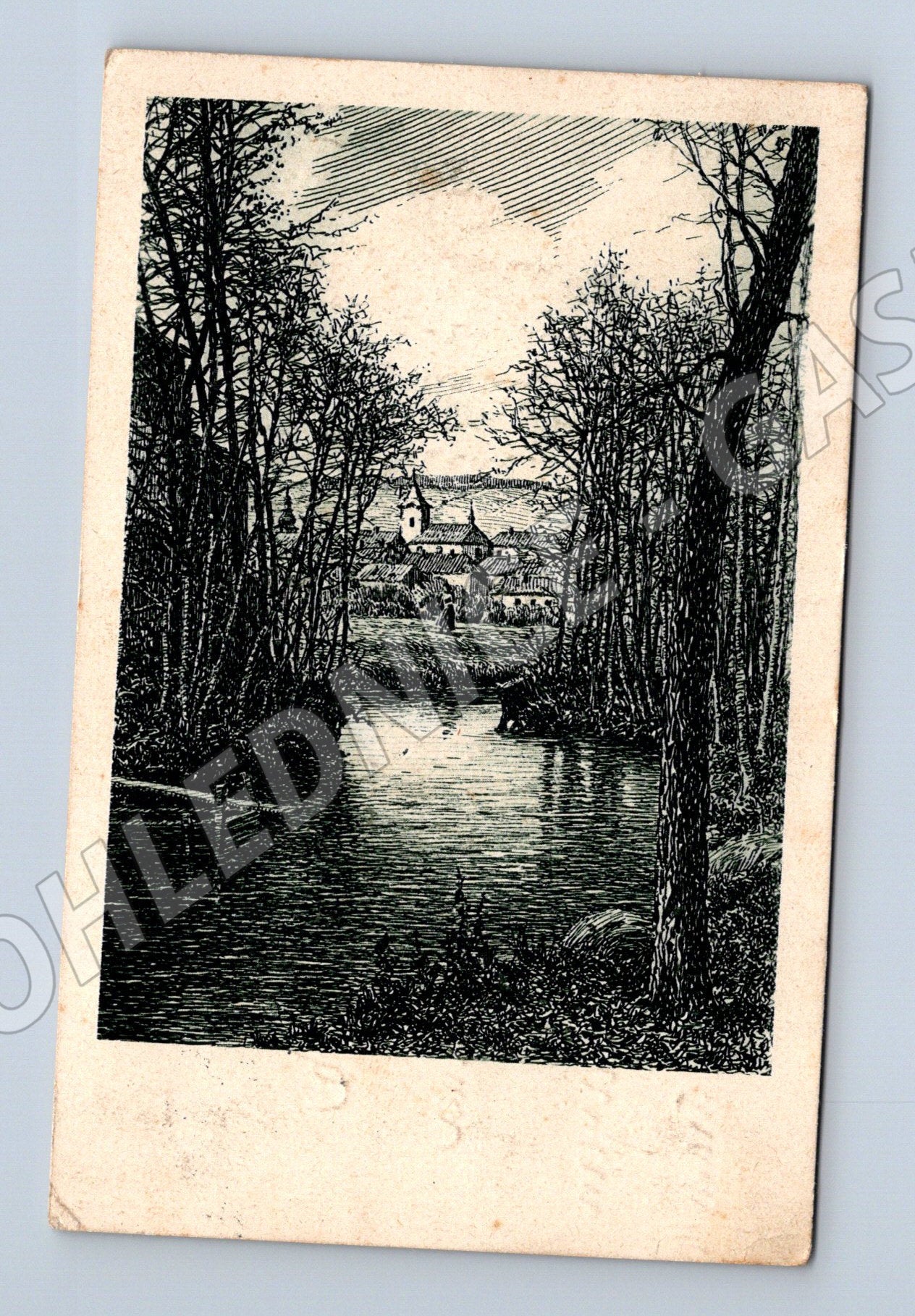Pohlednice Volyně lesní krajina kachny (BM25567)