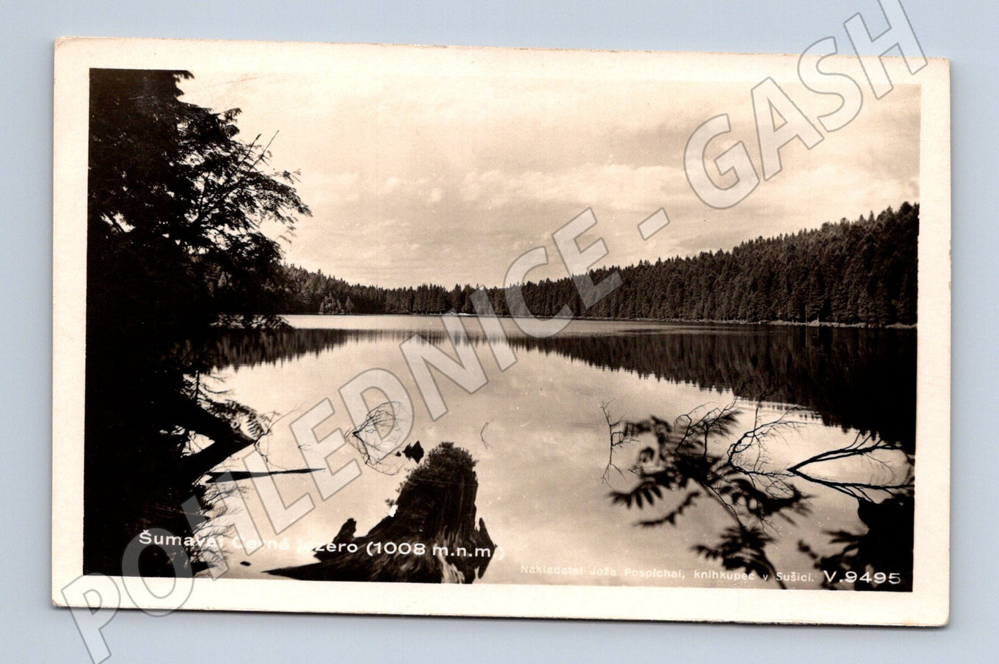 Pohlednice Šumava Černé jezero (1008 m.n.m.) (BM25571)