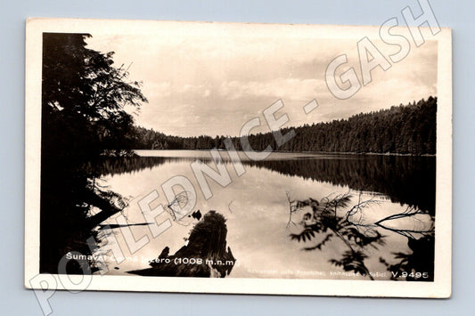 Pohlednice Šumava Černé jezero (1008 m.n.m.) (BM25571)