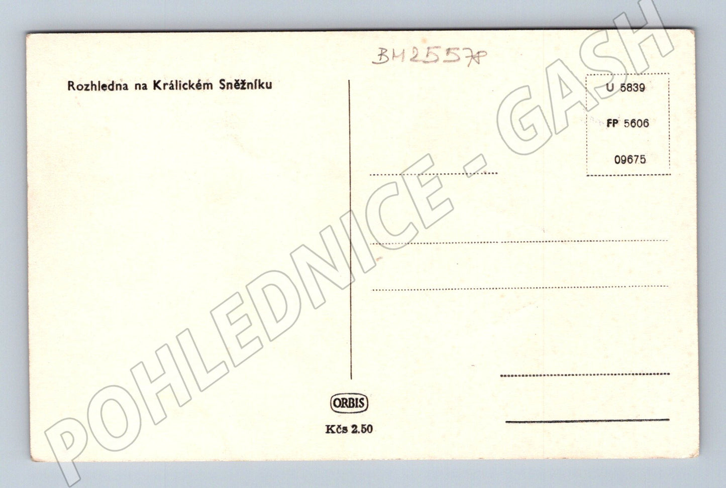 Pohlednice Králický Sněžník zasněžená rozhledna (BM25578)