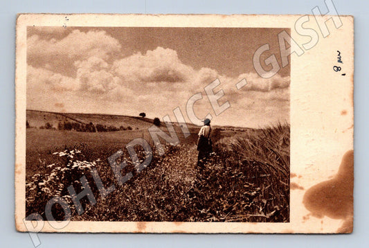 Pohlednice Hlavnovice venkovská krajina 1941 (BM25586)