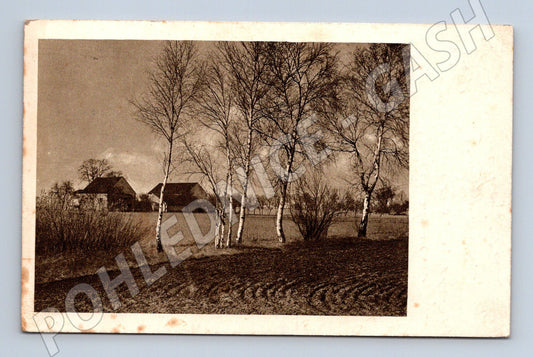 Pohlednice Plzeň venkovská krajina břízy 1941 (BM25587)