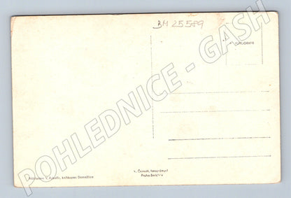 Pohlednice Domažlice J. Š. Baar socha v muzeu (BM25589)