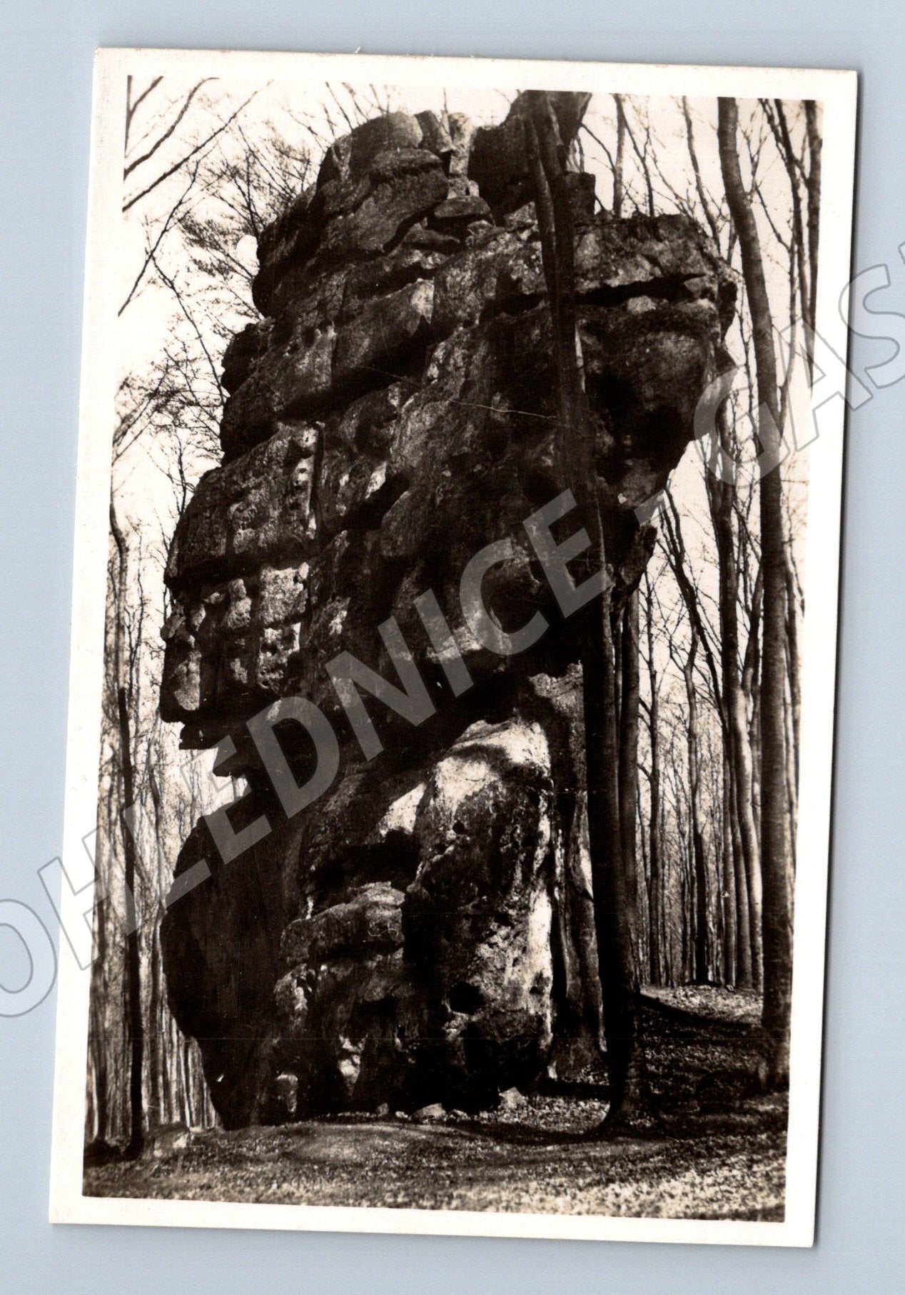 Pohlednice Koryčany „Kozel“ skalní útvar (BM25591)