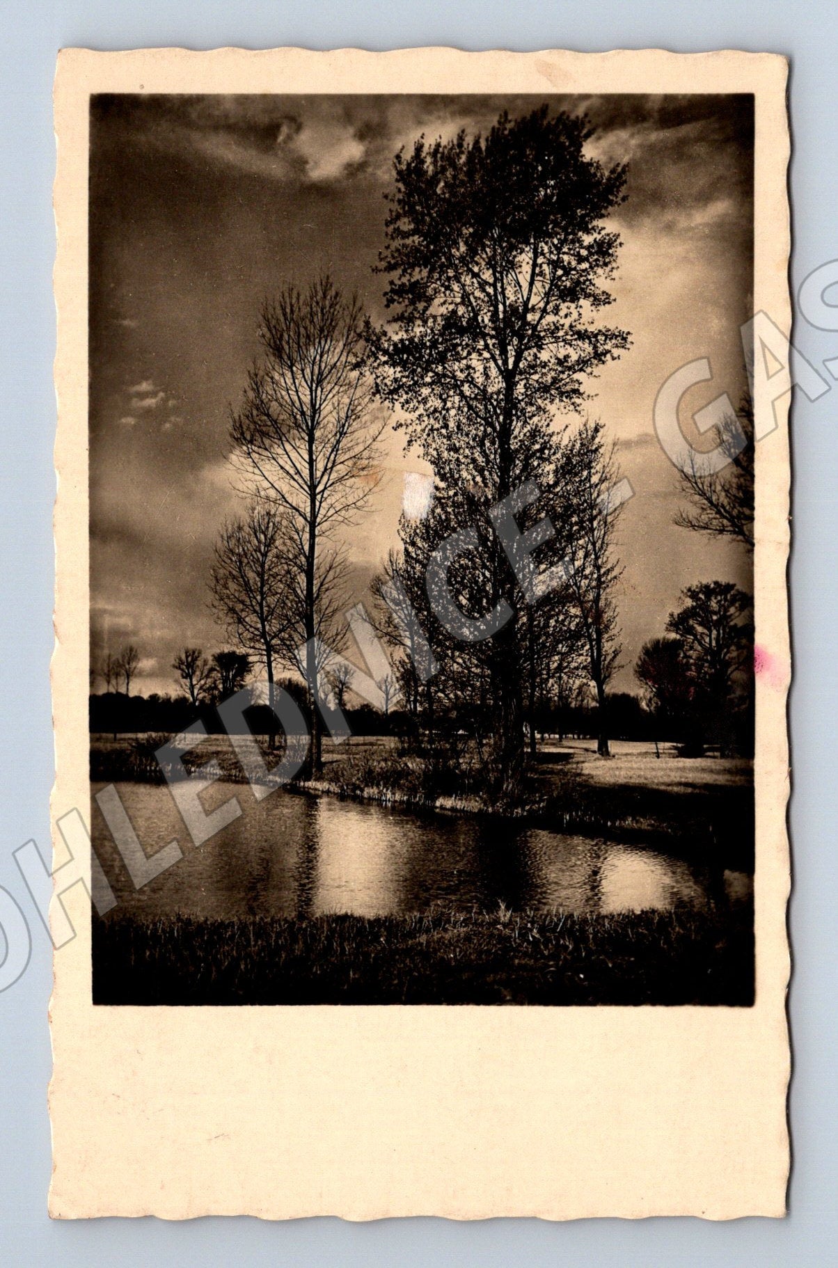 Pohlednice Krajina se stromy a vodní hladinou 1943 (BM25614)