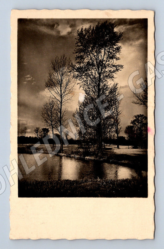 Pohlednice Krajina se stromy a vodní hladinou 1943 (BM25614)