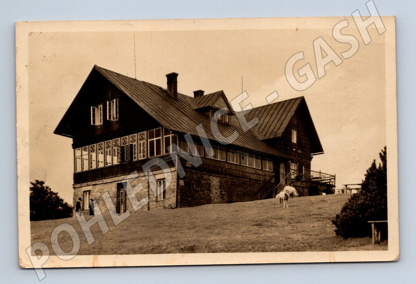 Pohlednice Beskydy Útulna Javorový 1951 (BM25642)