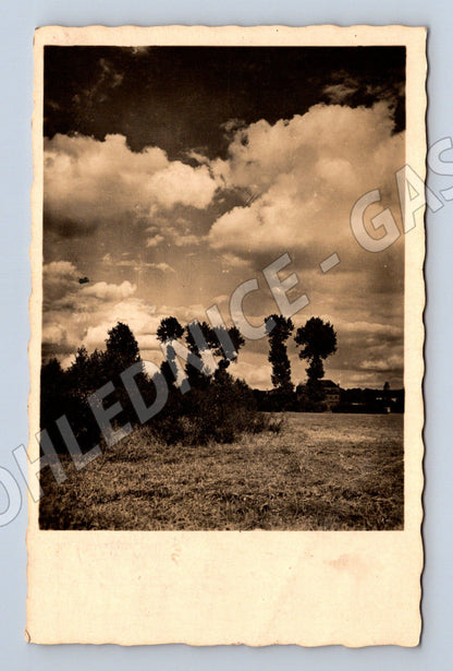 Pohlednice krajina les mraky 1943 (BM25671)
