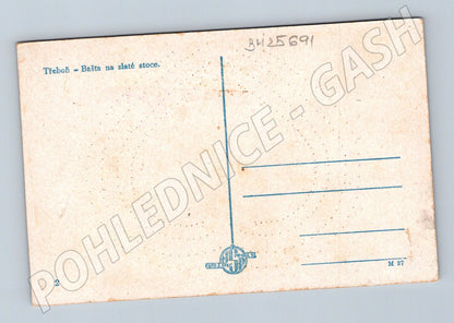 Pohlednice Třeboň Bašta na zlaté stoce (BM25691)