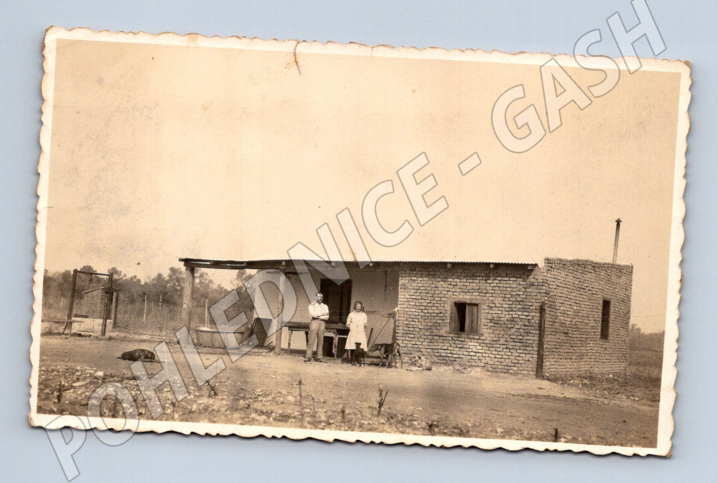 Pohlednice Ostatní státy venkovský dům s párem a psem (BM25717)