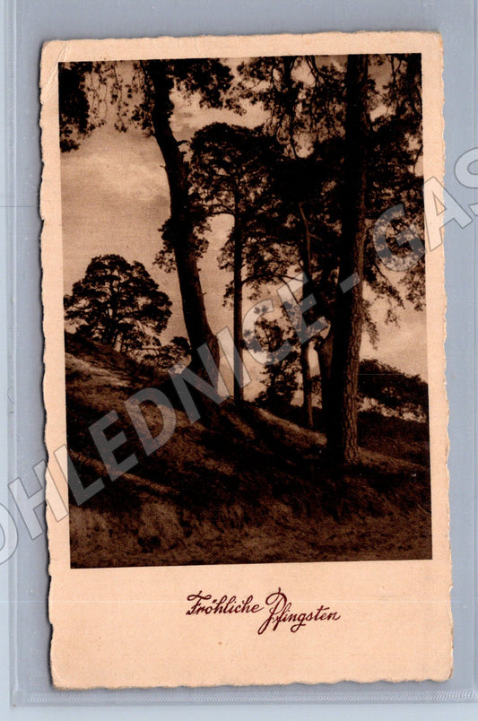 Pohlednice Fröhliche Pfingsten stromy 1943 (BM25723)