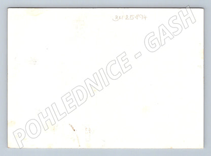 Pohlednice Československo Zvolenský zámek QSL 1954 (BM25874)