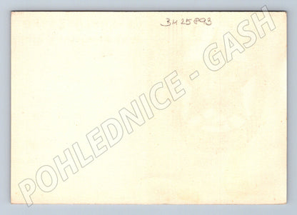 Pohlednice Československo SVAZARM QSL karta 1958 (BM25893)