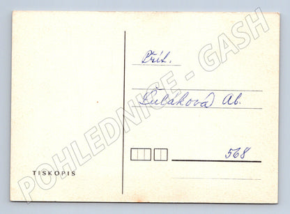 Pohlednice Pozvánka Český ovocnářský a zahrádkářský svaz (BM26128)