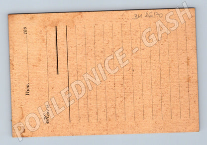Pohlednice Rakousko Vídeň blank Correspondenz=Karte (BM26170)