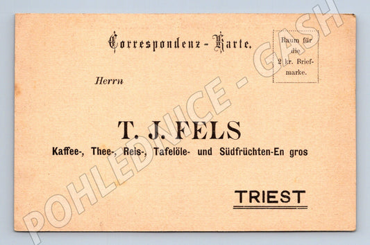 Pohlednice Itálie Triest obchod T. J. Fels (BM26174)