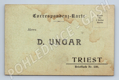 Pohlednice Itálie Terst objednávkový formulář 1905 (BM26176)