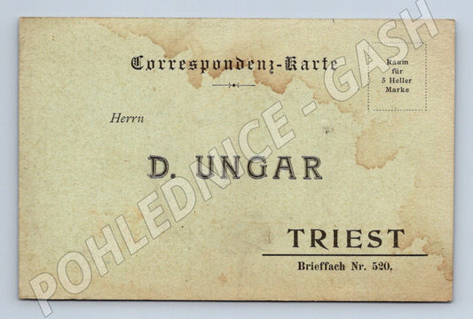 Pohlednice Itálie Terst objednávkový formulář 1905 (BM26176)