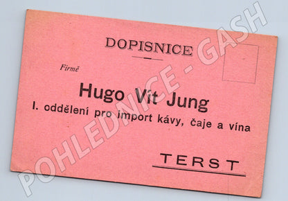 Pohlednice Itálie Terst Hugo Vít Jung (BM26177)
