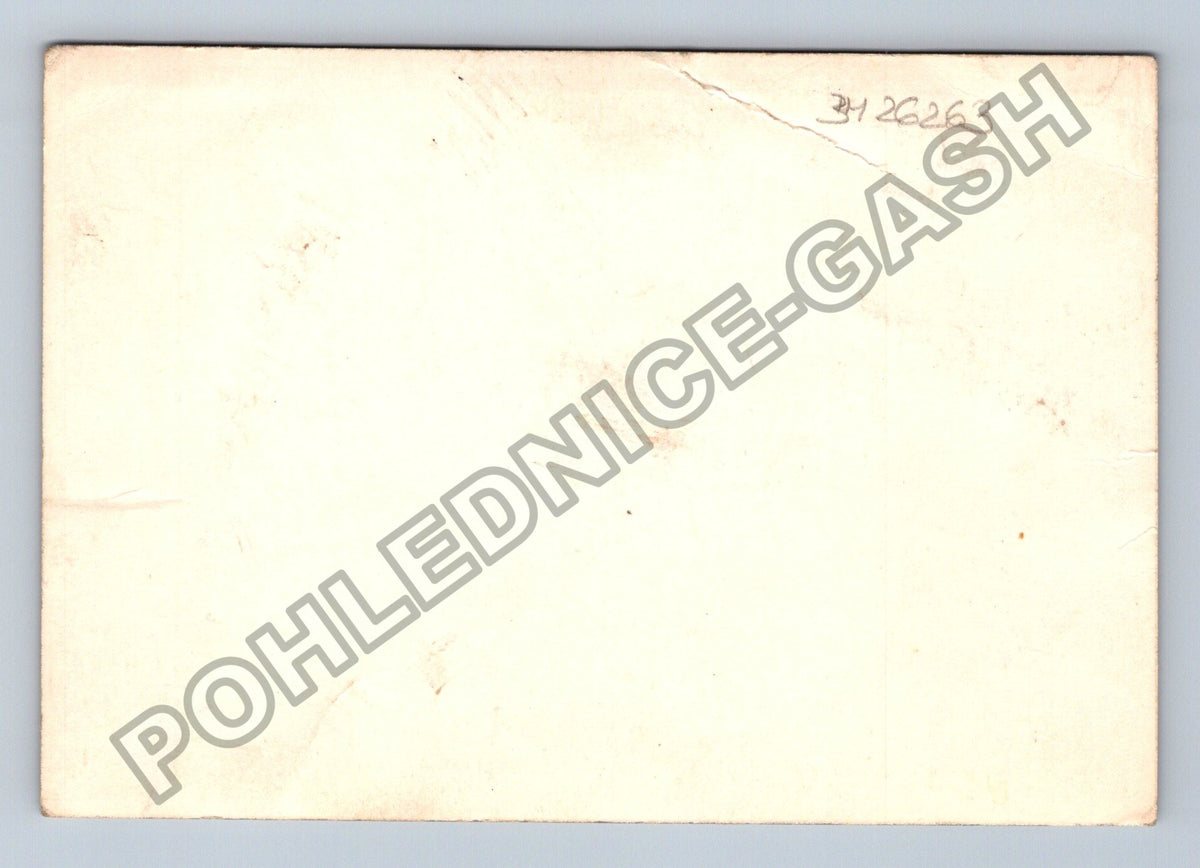 Stará fotografie mužská kapela s dechovými nástroji (BM26263)
