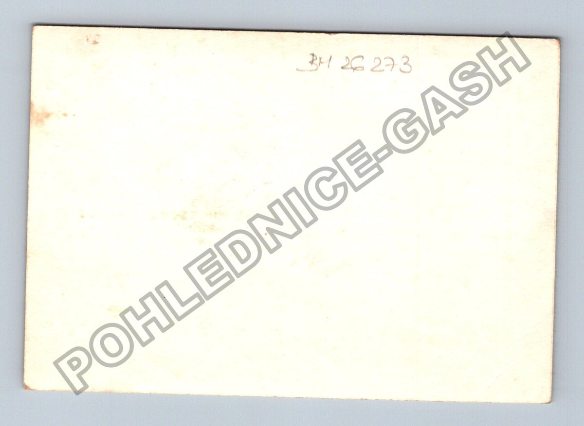 Stará fotografie rodinná skupina s dětmi (BM26273)