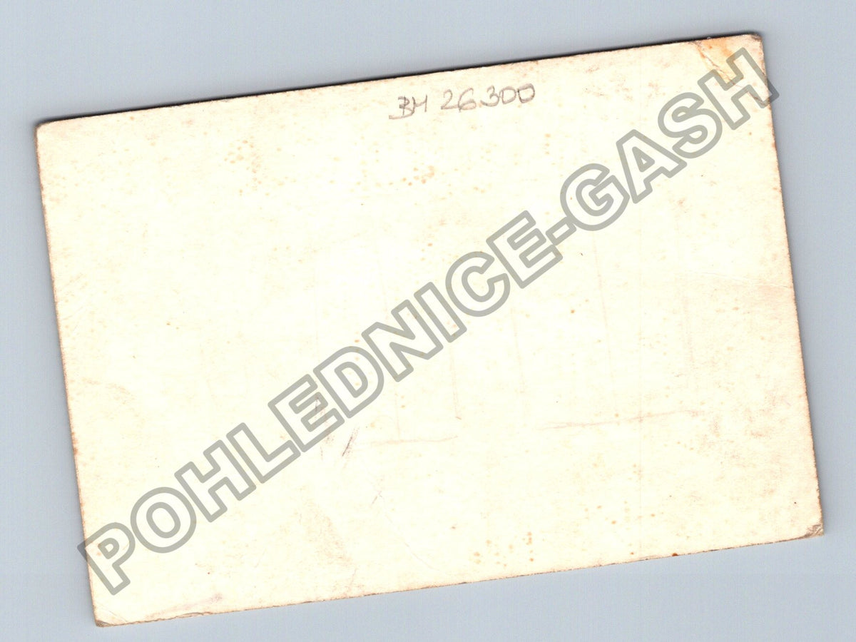 Stará fotografie rodinná skupina u plotu (BM26300)